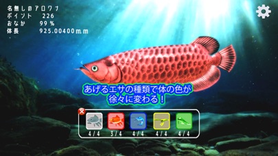 稚魚から育てるアロワナのおすすめ画像2