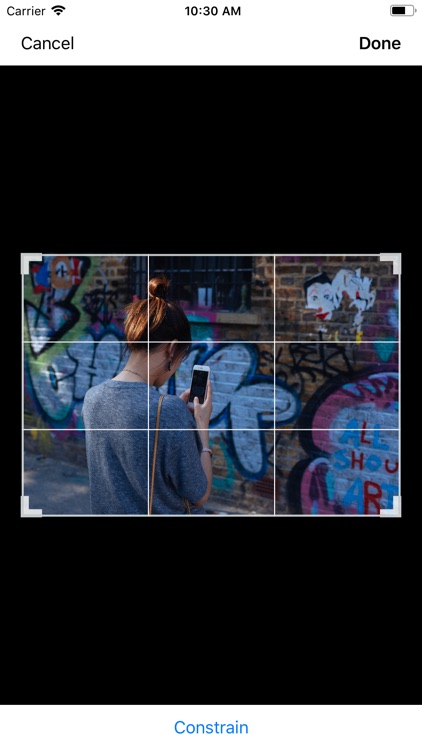 PictureMania - Custom Editor