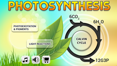 Biology Photosynthesis Pro Screenshot