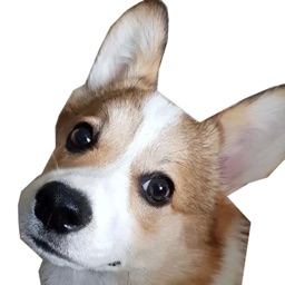 Lovely Corgi Sticker Pack