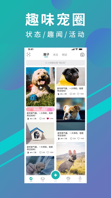 宠都