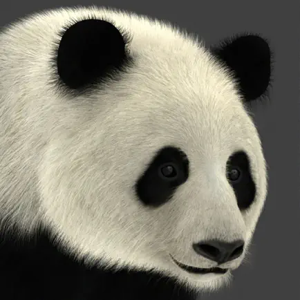 Panda AR Читы