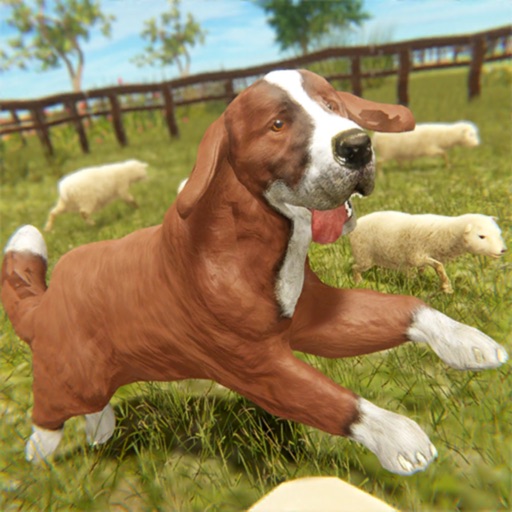 Silly Sheep Run- Farm Dog Game icon