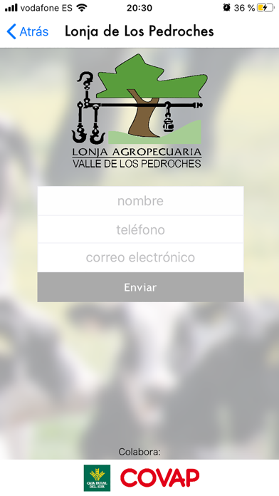 Screenshot #2 pour La Lonja de Los Pedroches