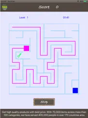 maze-2d айпад изображения 4