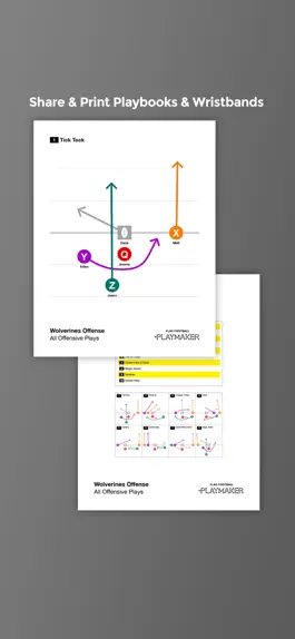 Game screenshot Flag Football Playmaker HD apk