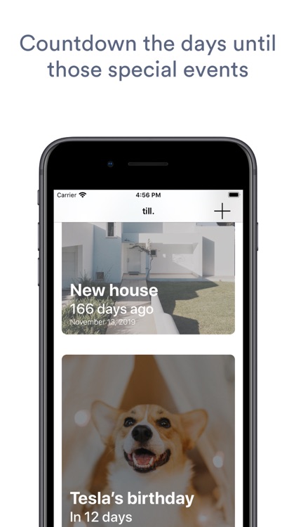 Till - Days Countdown