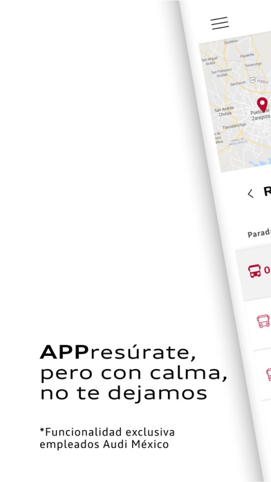 Audi México Screenshot