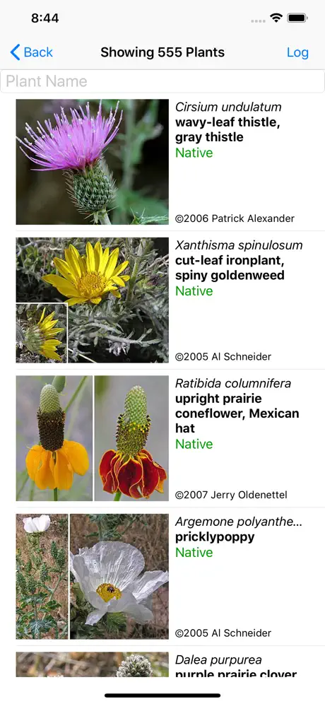 Nebraska Wildflowers