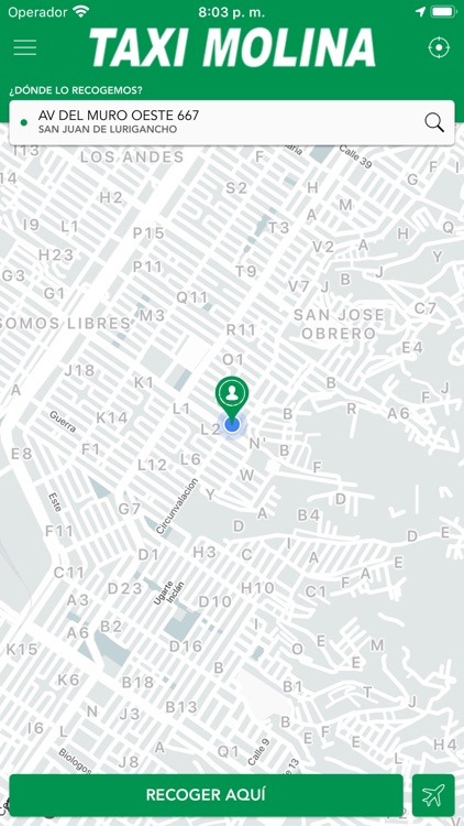 Taxi Molina screenshot-3