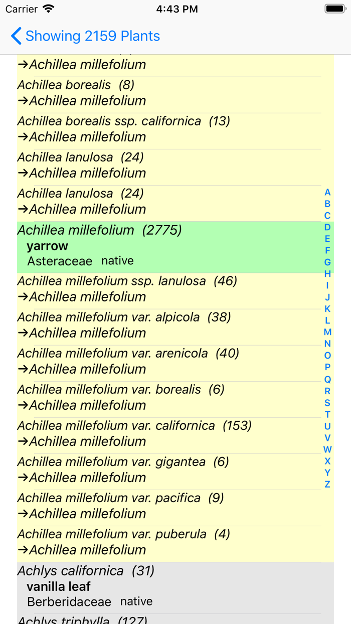 SF Bay Area Wildflowers