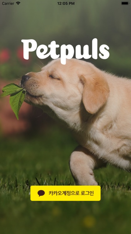 Petpuls