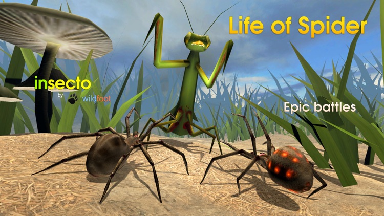 Life Of Spider screenshot-0