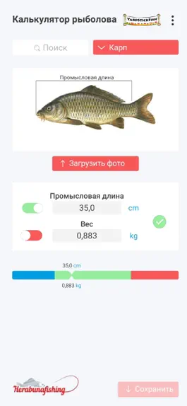 Game screenshot Yardstick Fish mod apk
