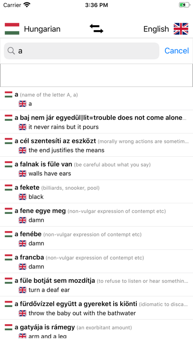 Hungarian/English Dictionary Screenshot