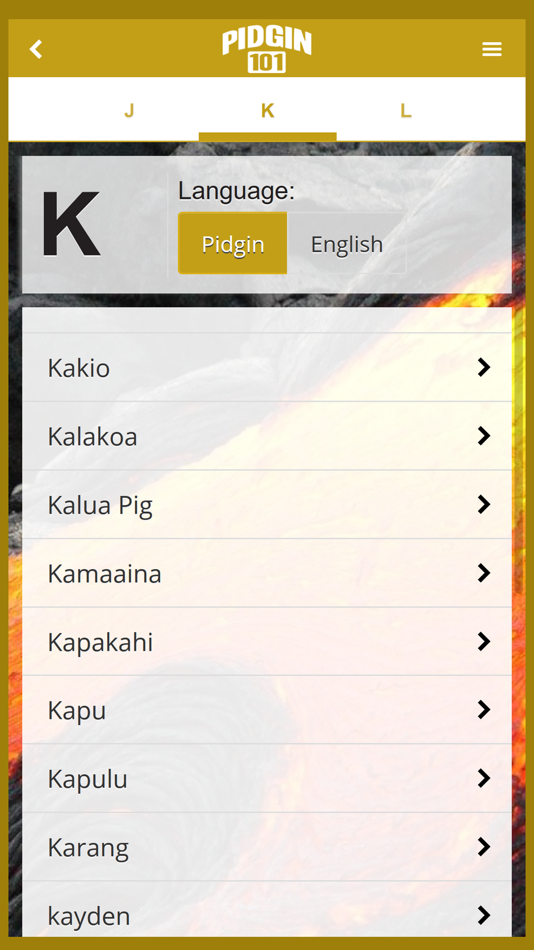 #3. Pidgin 101 App (iOS) 来自: Piusworks LLC