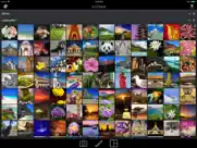 acdsee ipad bildschirmfoto 1