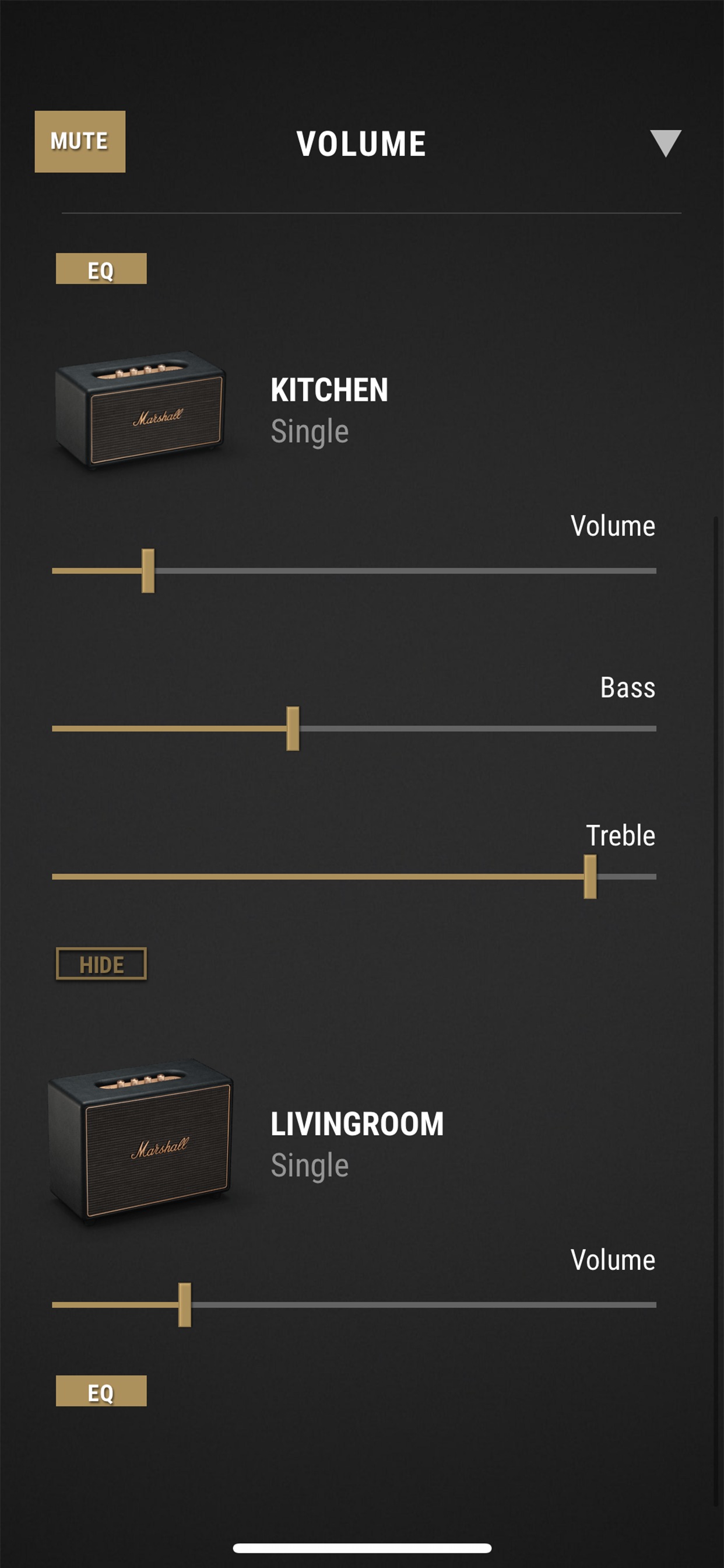 Marshall Multi-Room