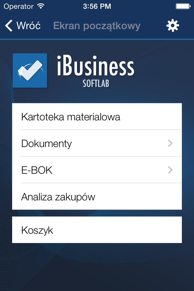 iBusiness Softlab 2 screenshot 2