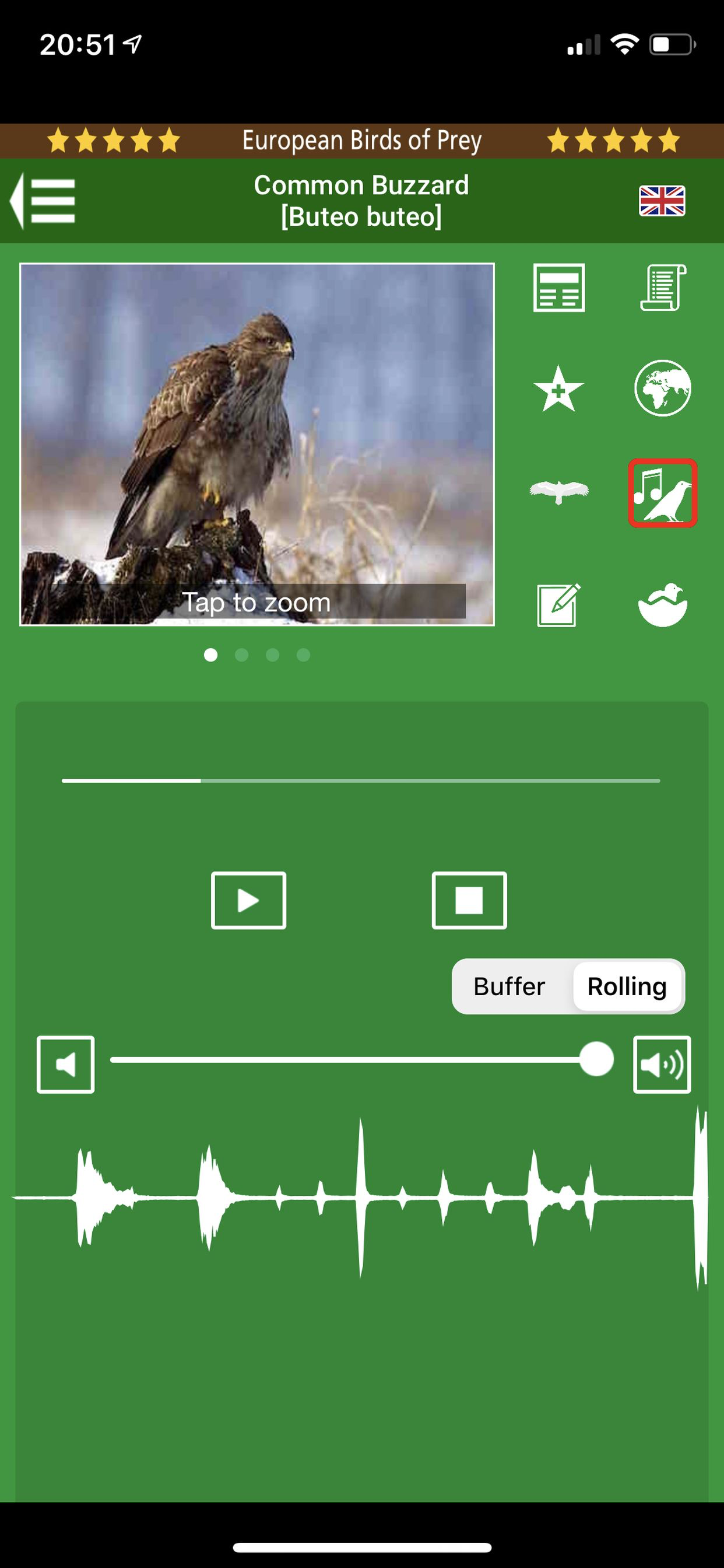 Birds of Prey and Owls screenshot 6