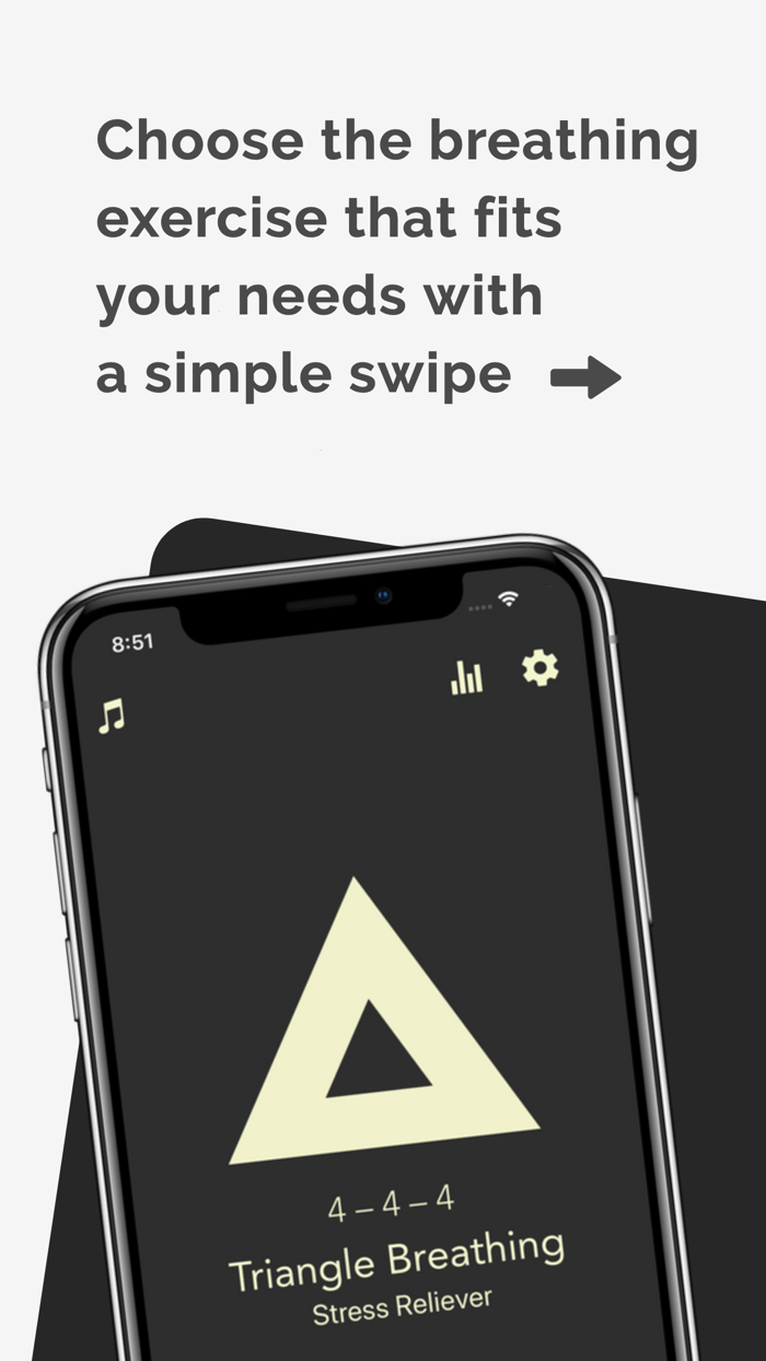 Steady Paced Breathing Timer