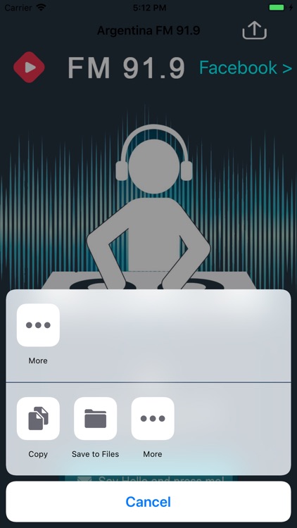 Argentina FM 91.9 screenshot-3