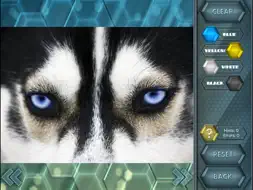 HexLogic - Zoo screenshot 12