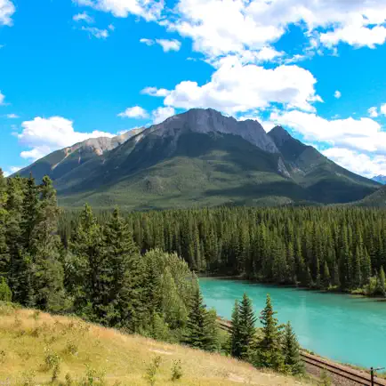 Healing nature sounds Читы