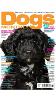 dogs monthly magazine iphone screenshot 2