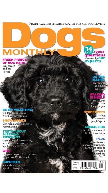 Dogs Monthly Magazine