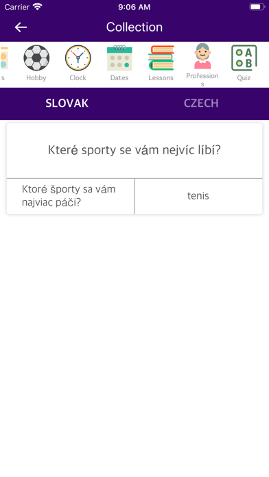 Slovak Czech Dictionary screenshot 3