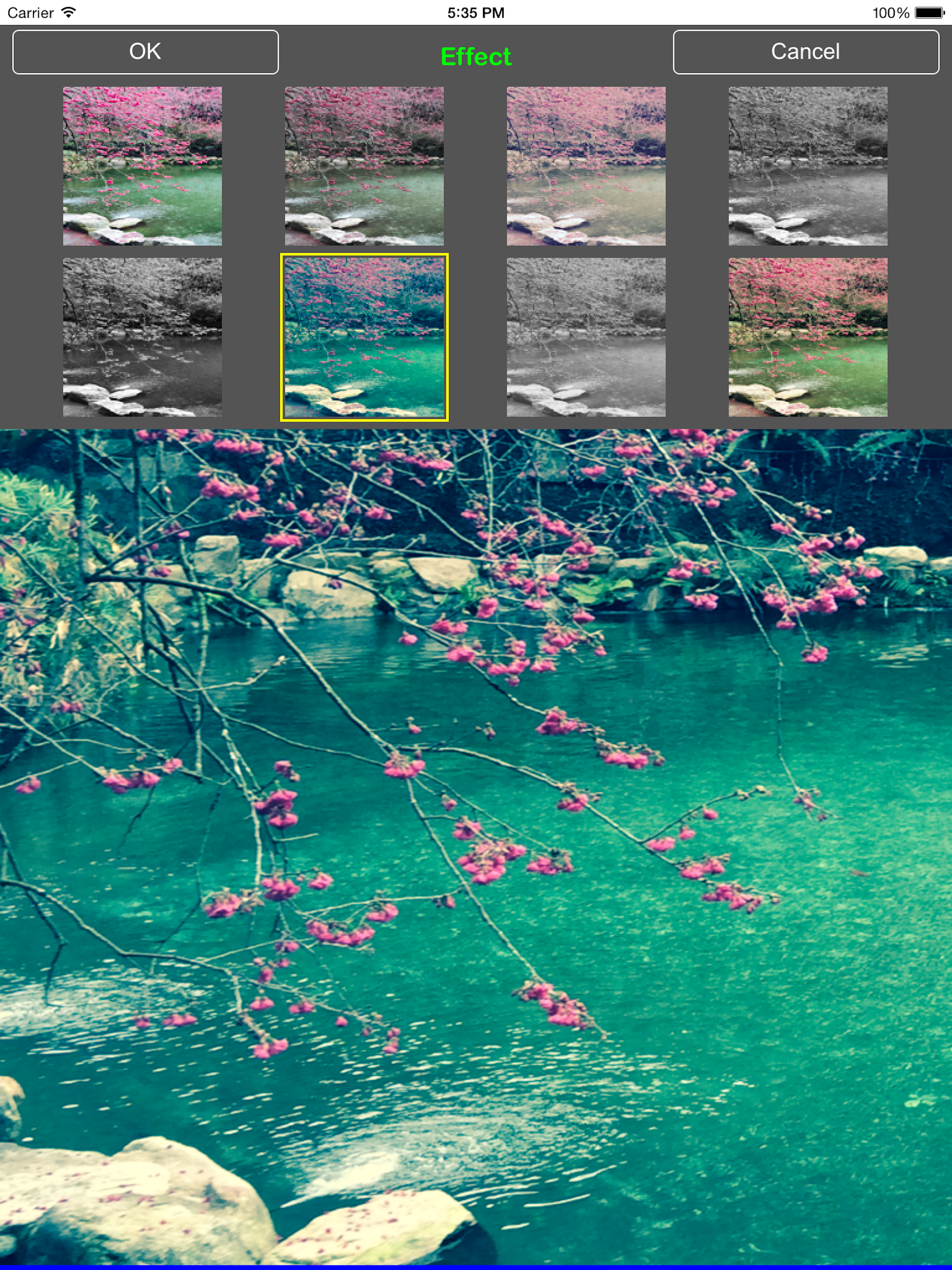 TC Photo Editor