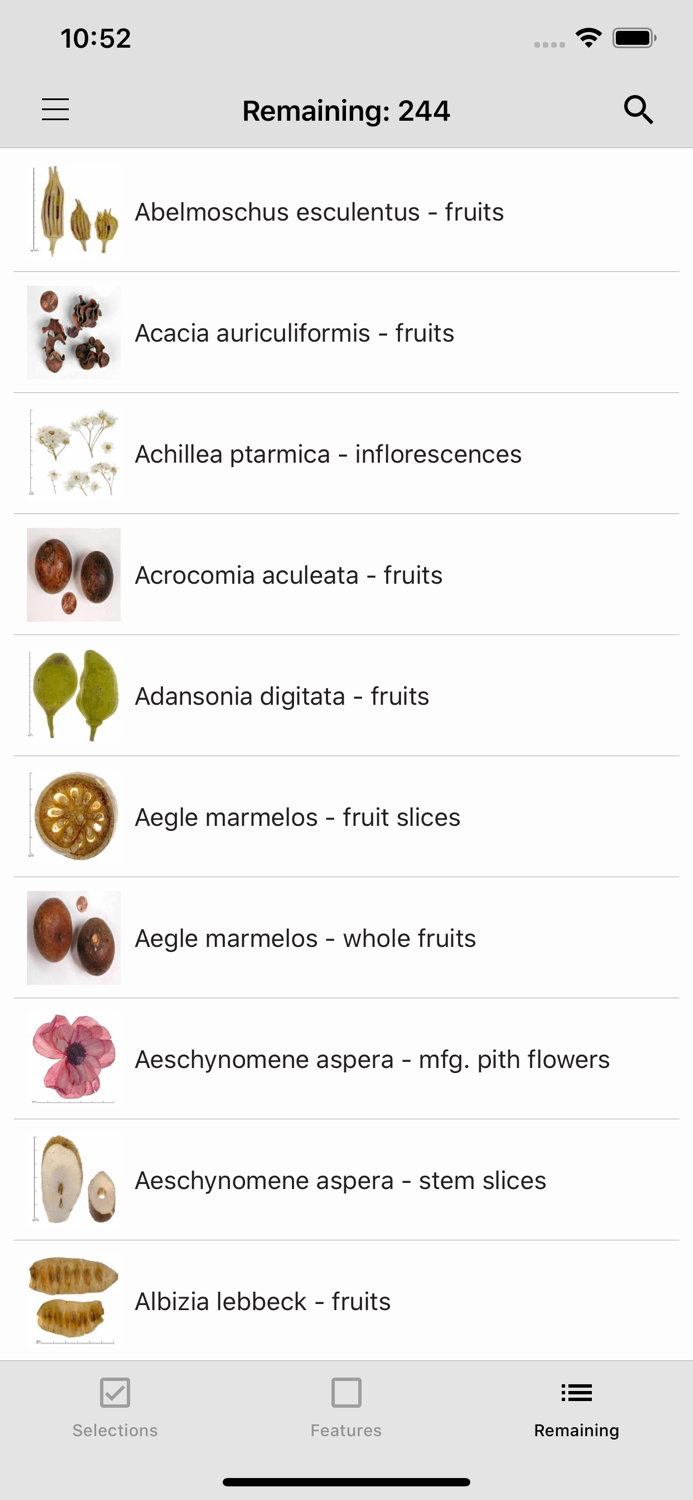 Dried Botanicals Key