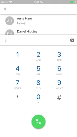 NextLevel Voice screenshot 5