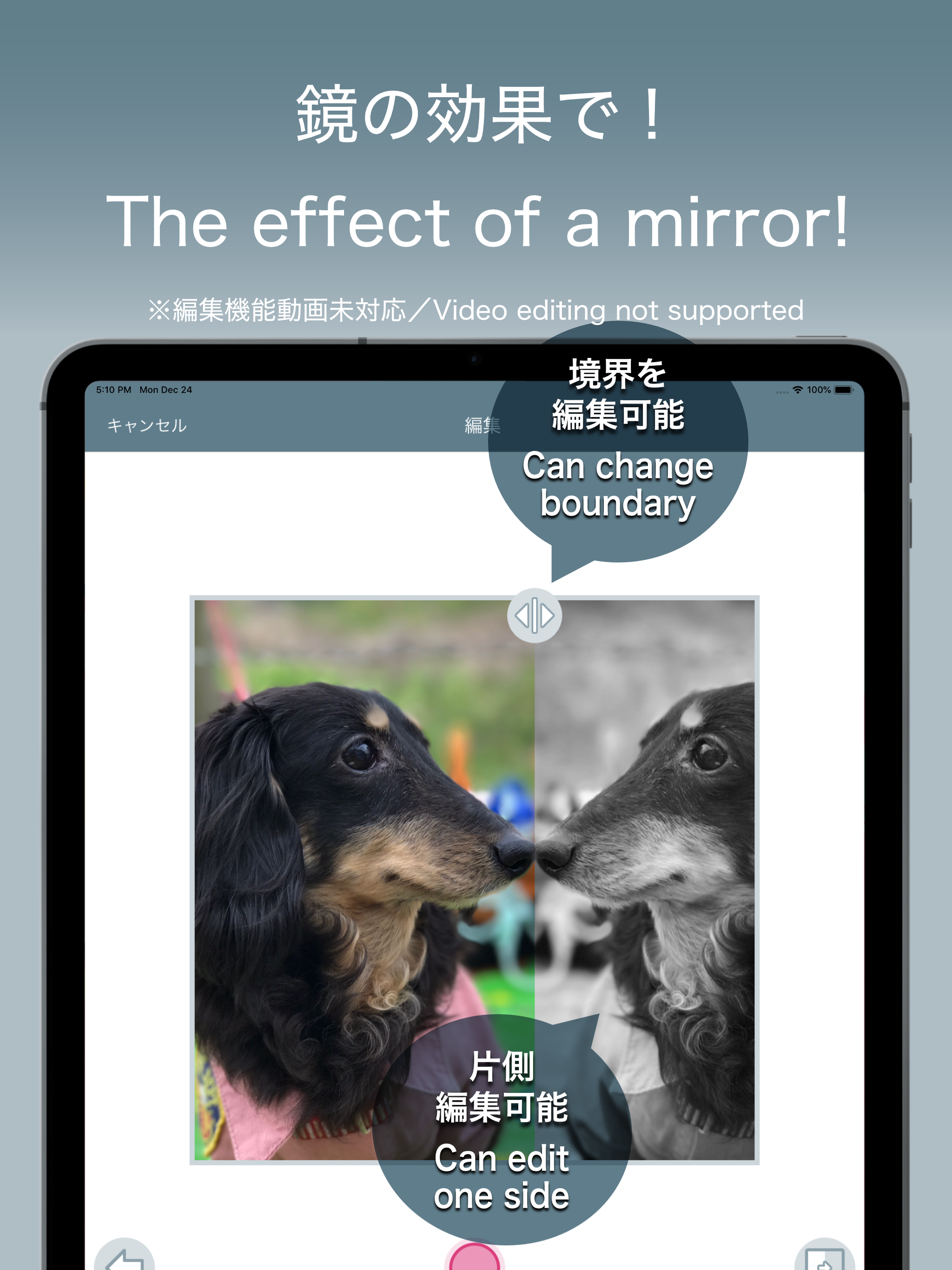 CaMirror - Flip Photo Mirror -