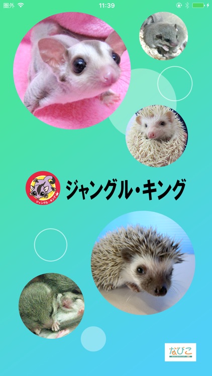 ジャングル・キング screenshot-4