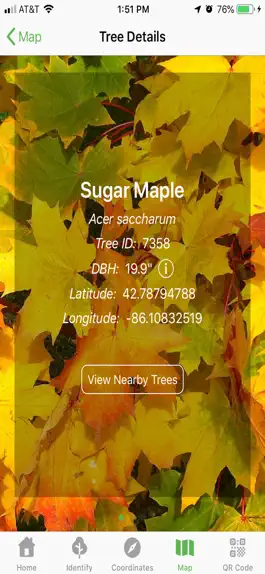 Game screenshot TreeSap apk