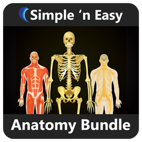 Anatomy Bundle by WAGmob