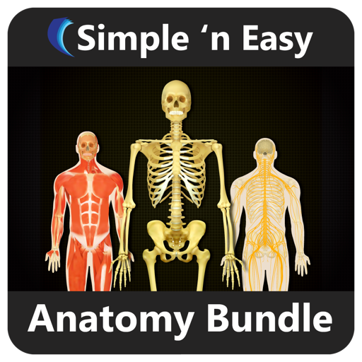 Anatomy Bundle by WAGmob
