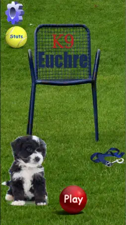 K9 Euchre screenshot 1