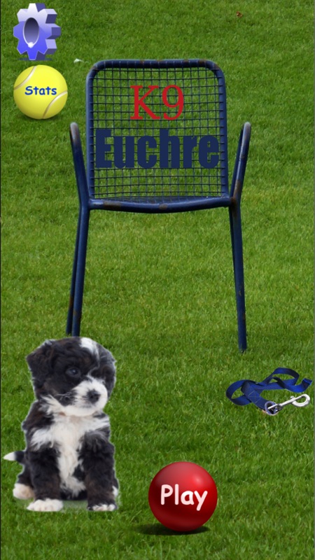 K9 Euchre screenshot 1