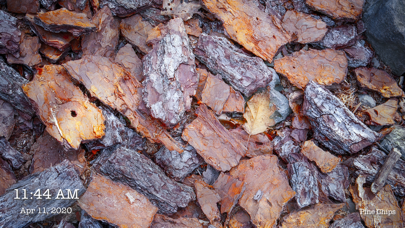 Screenshot #2 pour VG Gallery