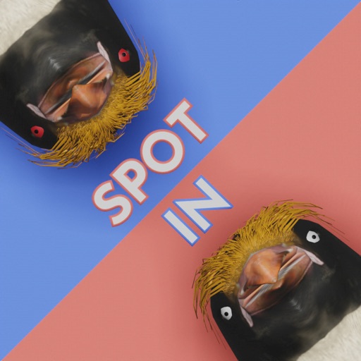 Spot In 3D