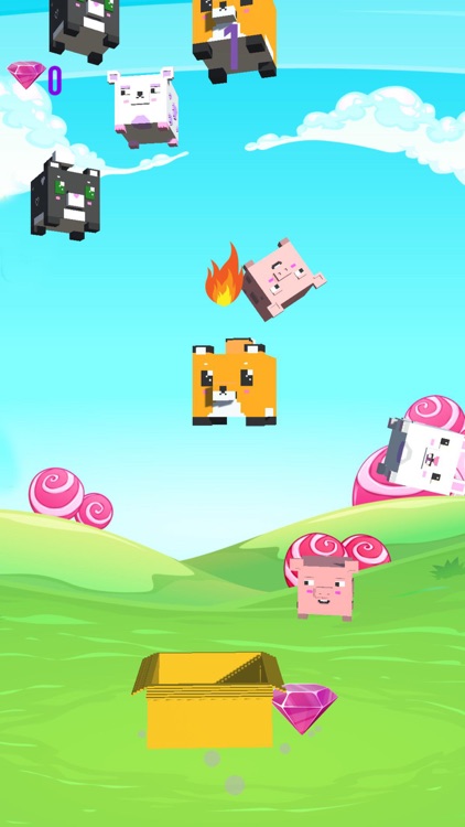 It's Raining Cats & Dogs!