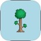 Looking for help or the latest tips for the game Terraria