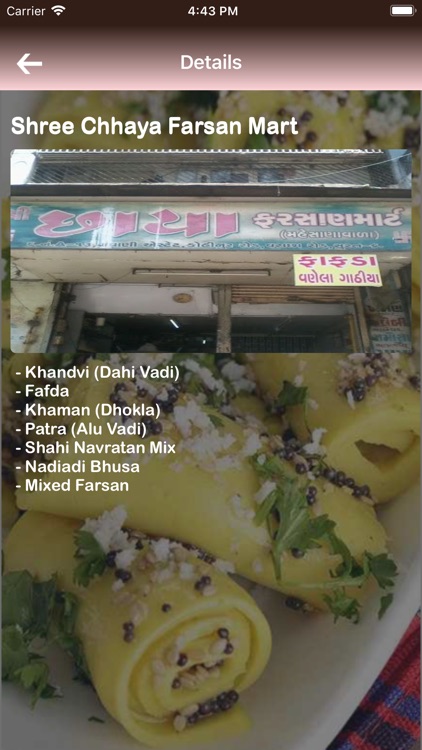 Khandvi House screenshot-5