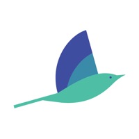 Mocingbird pour PC