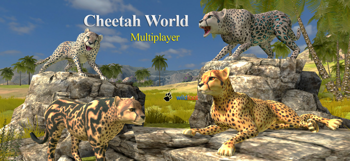 Cheetah Multiplayer
