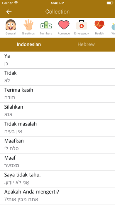 Screenshot #1 pour Indonesian Hebrew Dictionary