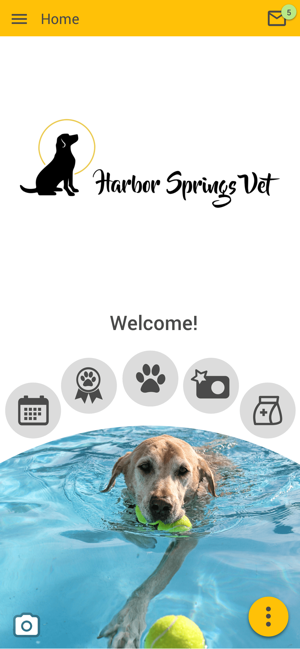 Harbor Springs Vet(圖1)-速報App